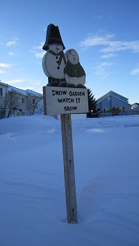 snow gauge 2